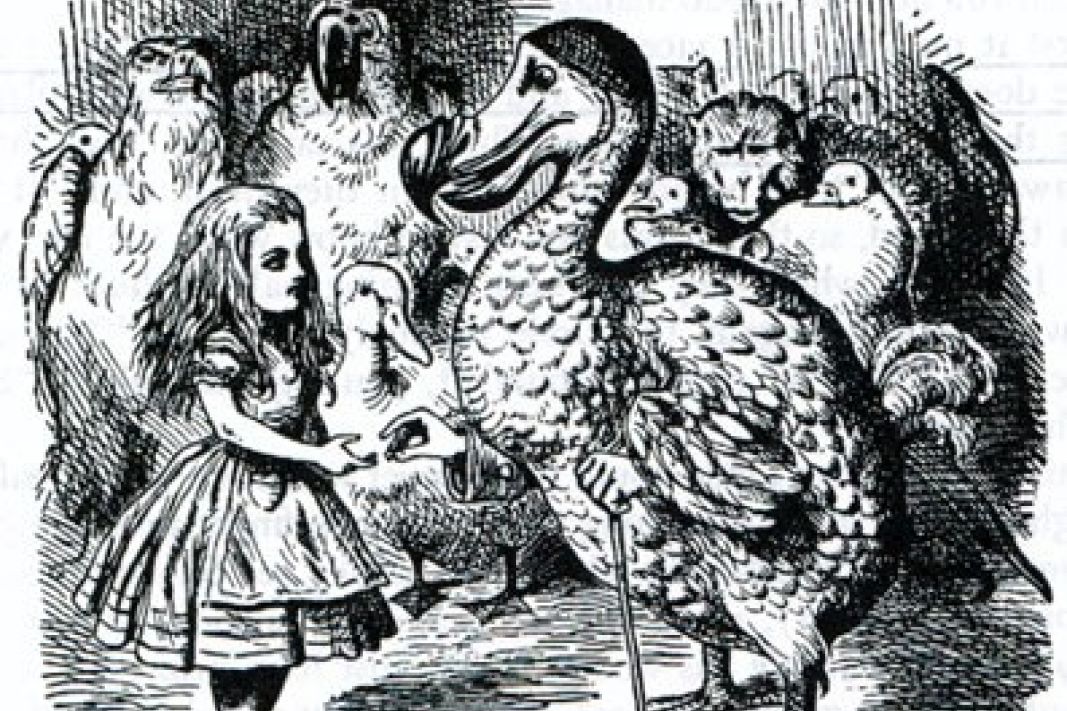 Alice and the dodo illustration