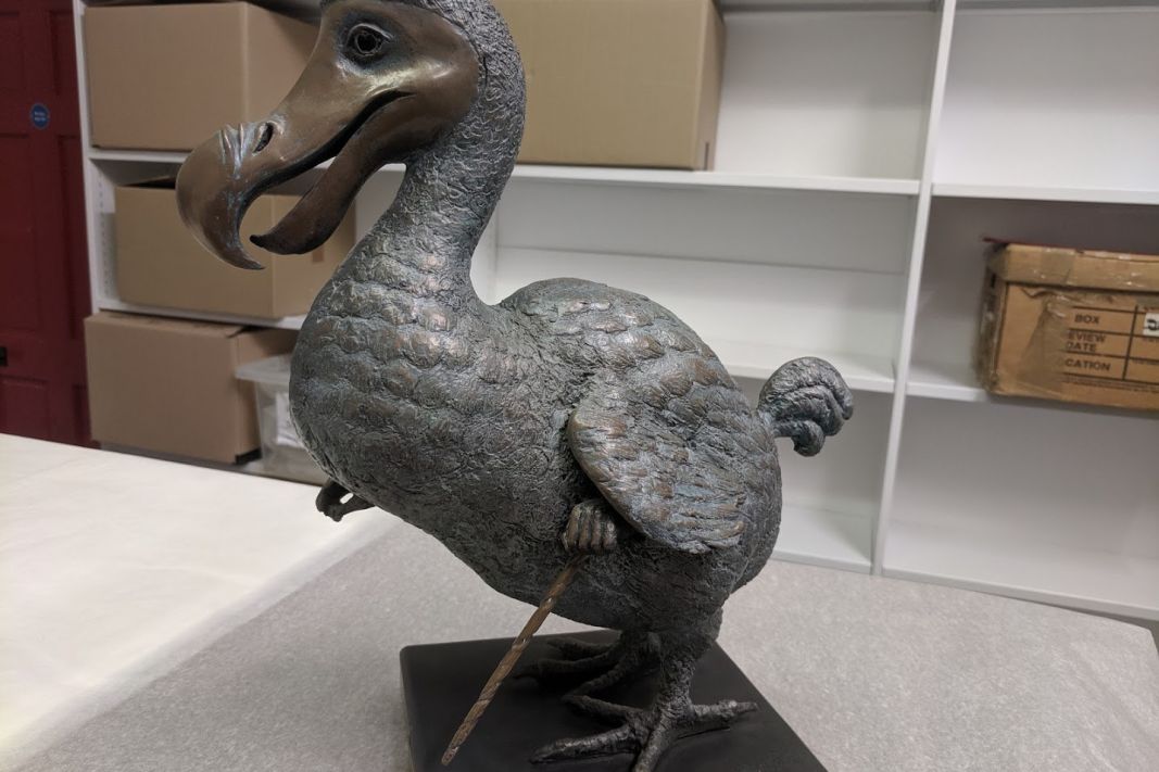 A bronze dodo statue.