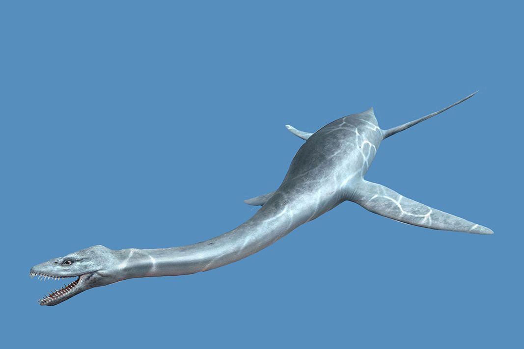 Marine dinosaur illustration