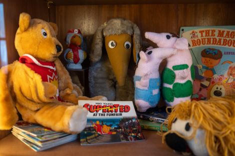 Display case with stuffed toys and books