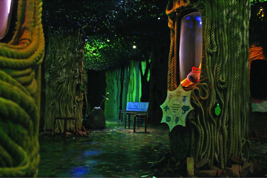A wide angle shot of the Whsipering Wood featuring multiple trees.