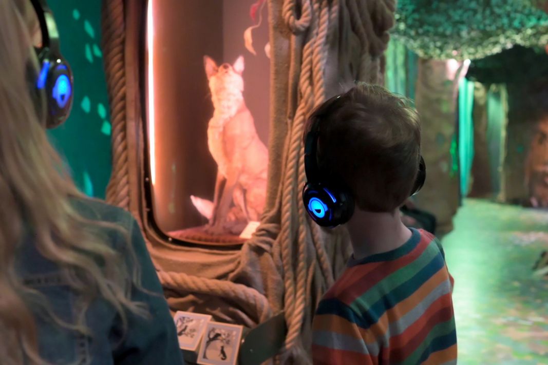 A child looking at a model of a fox displayed in a tree in the Whispering Wood