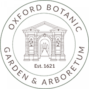 OBG transparent full colour copy